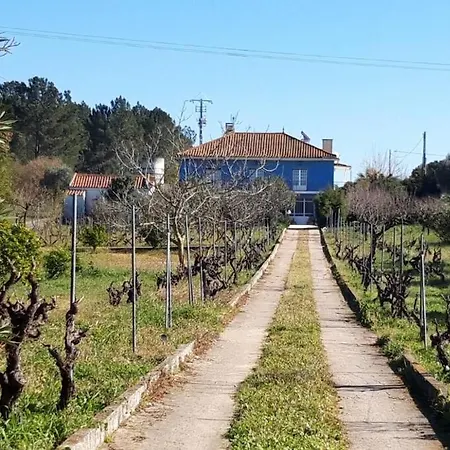 Casa Azul Holidayhome 빌라 *