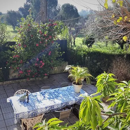 Casa Azul Holidayhome Tomar